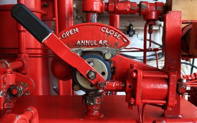 A Birds-Eye-View of Our BOPs