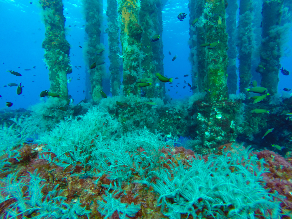 What Happens to Old Offshore Rigs? BOP Products, Houston TX what-happens-to-old-offshore-rigs-bop-products-houston-tx