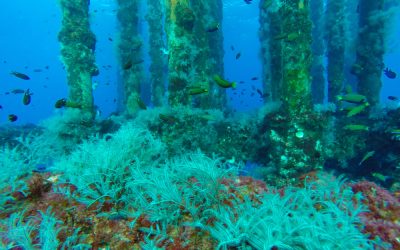 What Happens to Old Offshore Rigs?