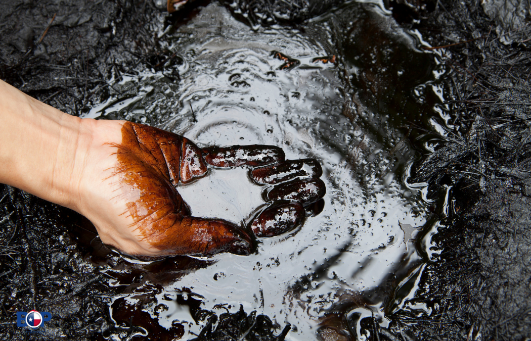 What to Do If You Find Oil on Your Land: Step-by-Step Guide